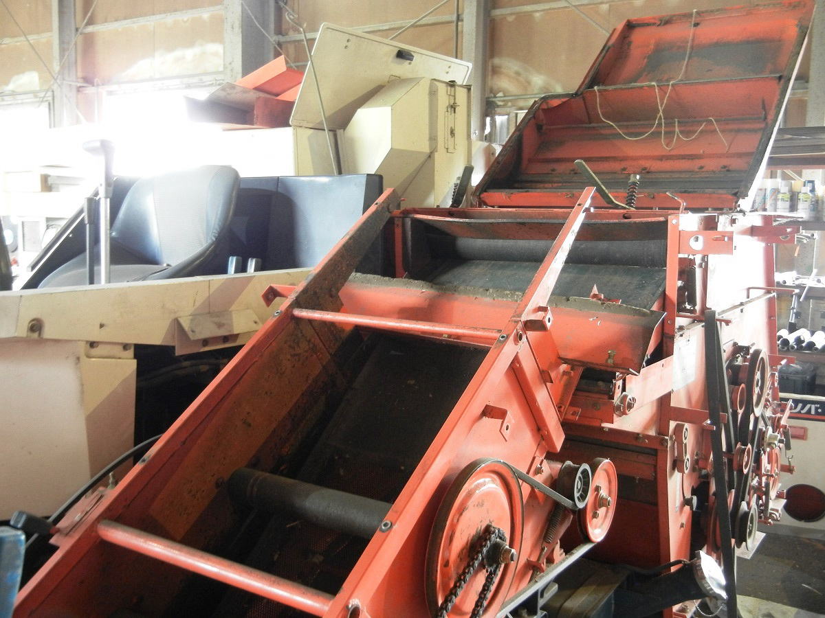 �����������������C���[�W